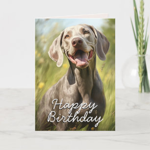 Custom Weimaraner Birthday Card