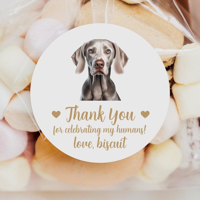 Custom Weimaraner Dog Wedding Favour Stickers (Creator Uploaded)