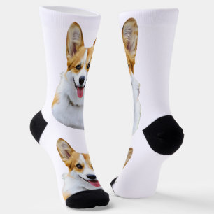 Custom Welsh Corgi Dog Personalised Drawing Socks