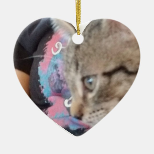 Custom Who Rescued Who Pet Name  Ceramic Ornament (Front)