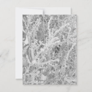 Custom Winter Icy Pine Tree Blank Note Card