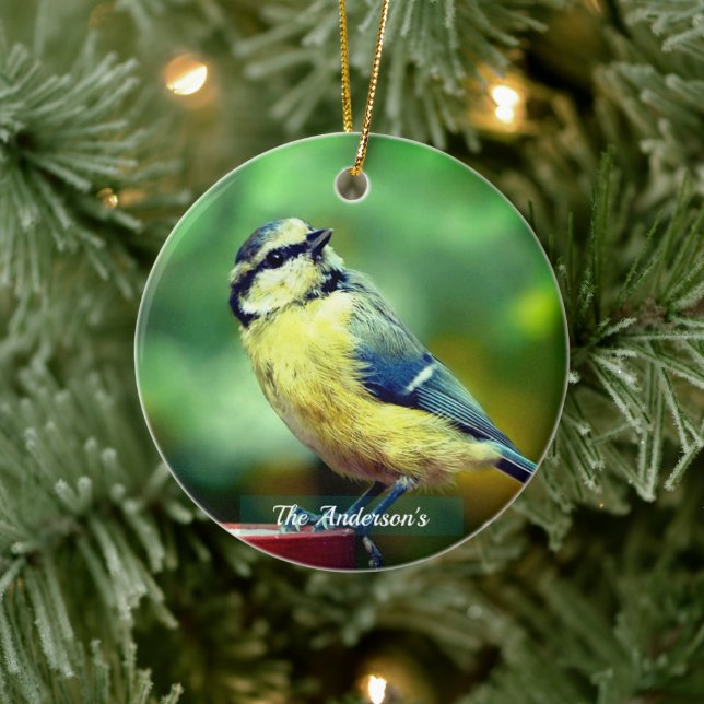 Custom Yellow=breasted Bird Photo Personalised Ceramic Ornament (Tree)