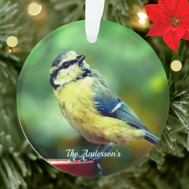 Custom Yellow=breasted Bird Photo Personalised Ornament (Creator Uploaded)
