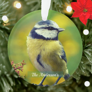 Custom Yellow-breasted Blue Chat Photo Ornament