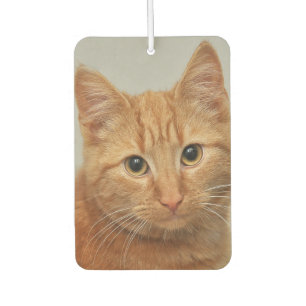 CUSTOM YOUR CAT PHOTO AIR FRESHENER