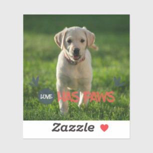 Custom your pet photo