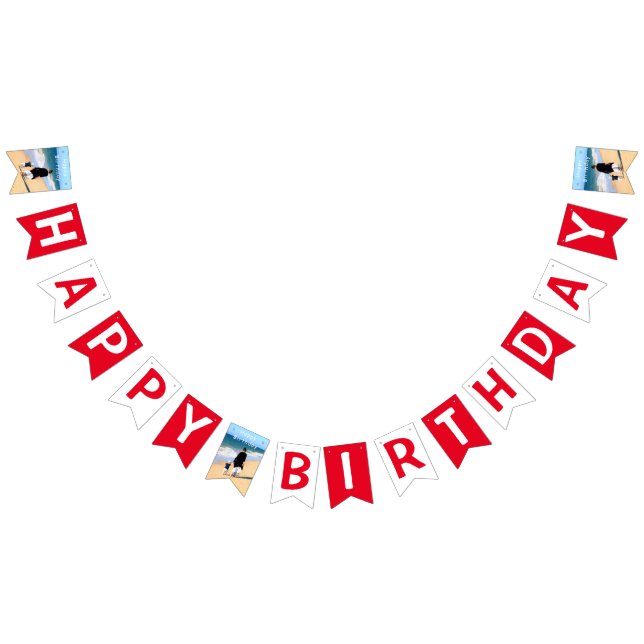 Custom Your Photo with Text Birthday Bunting Flags (All)