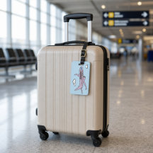 Customisable Aeroplane Luggage Tag