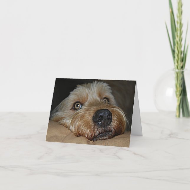 Customisable All-Occasion Greeting Card (Front)