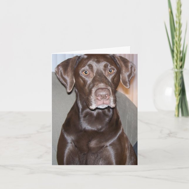 Customisable All-Occasion Greeting Card (Front)