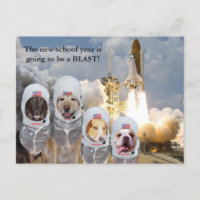 Customisable Astronaut Dogs Teacher Postcard