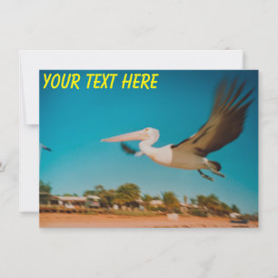 Customisable Australia pelican Card