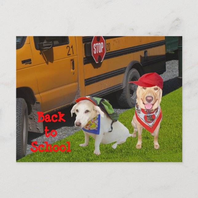 Customisable Back to School Postcard (Front)