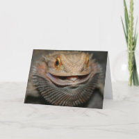 Customisable Bearded Dragon