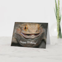 Customisable Bearded Dragon