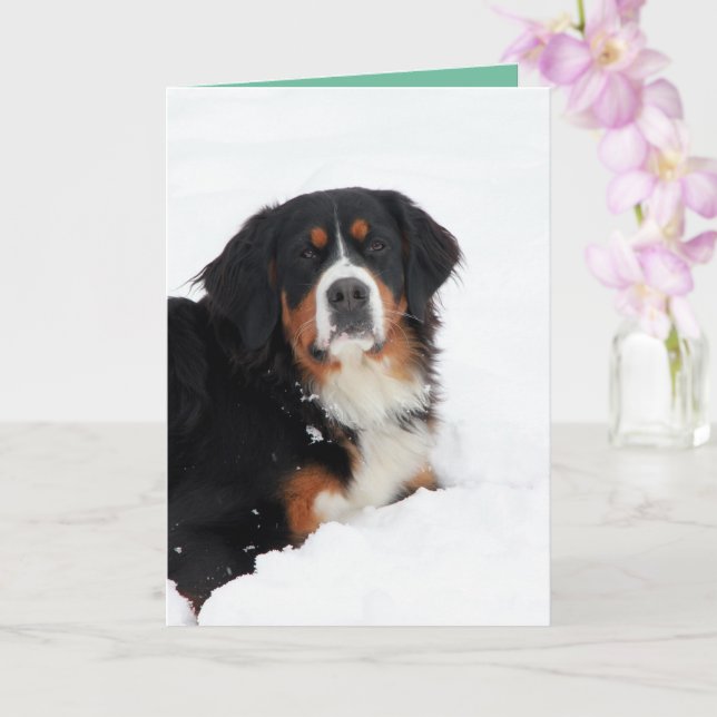 Customisable Bernese Mountain Dog Card (Orchid)