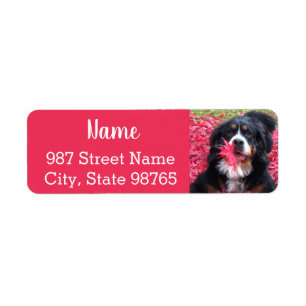 Customisable Bernese Mountain Dog Return Address Label