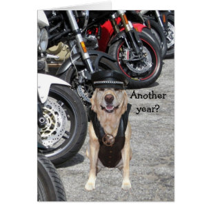 Customisable Biker Lab