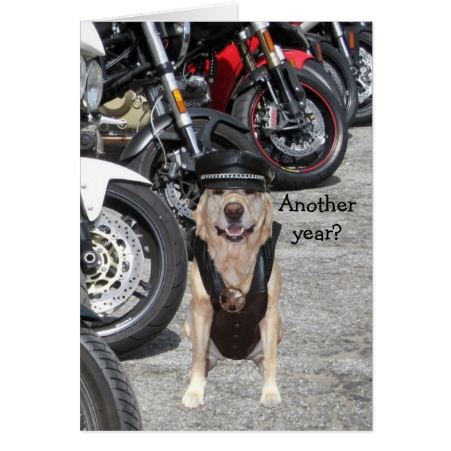 Customisable Biker Lab (Front)