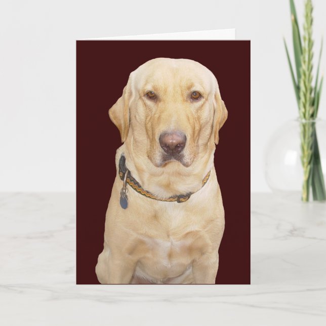 Customisable Birthday Card (Front)