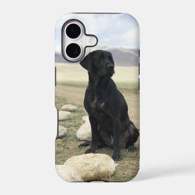 Customisable Black Labrador Retriever (Back)