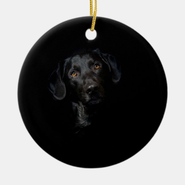 Customisable Black Labrador Retriever Ceramic Tree Decoration (Front)