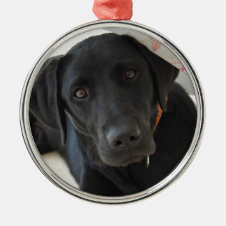 Customisable Black Labrador Retriever Metal Ornament