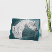 Customisable Blank Arabian Horse Card