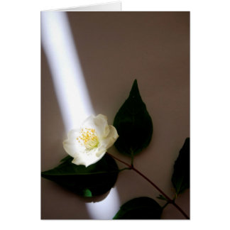 Customisable Blank Card