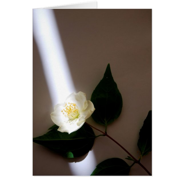 Customisable Blank Card (Front)