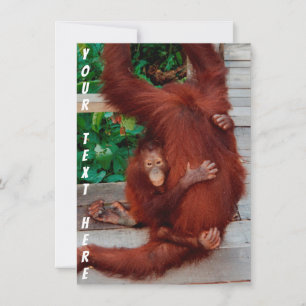 Customisable Borneo orangutan card
