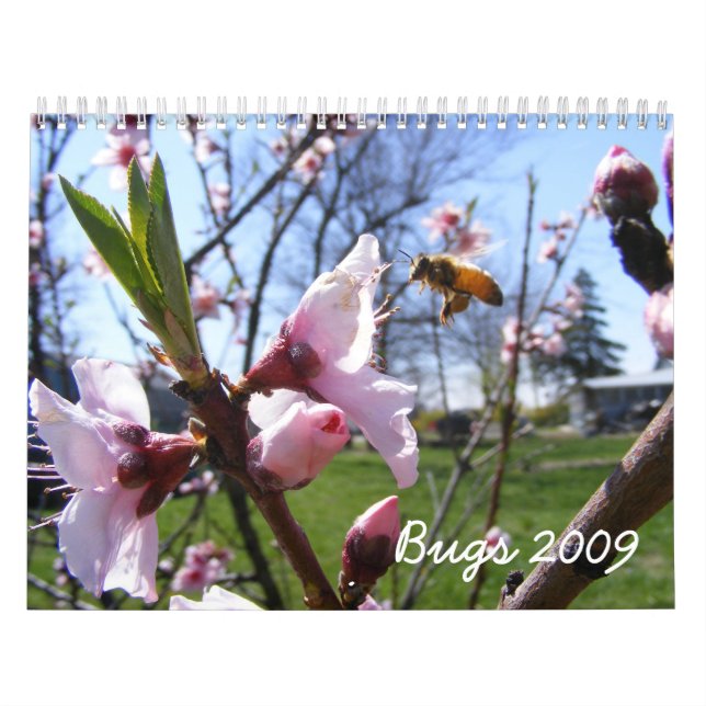 Customisable Bug Calendar (Cover)