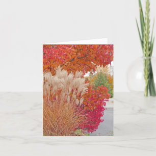 customisable card/YOU COLOR MY WORLD AND BRIGHTEN Card