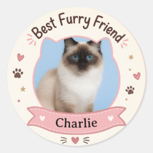 Customisable Cat Photo And Name Sticker