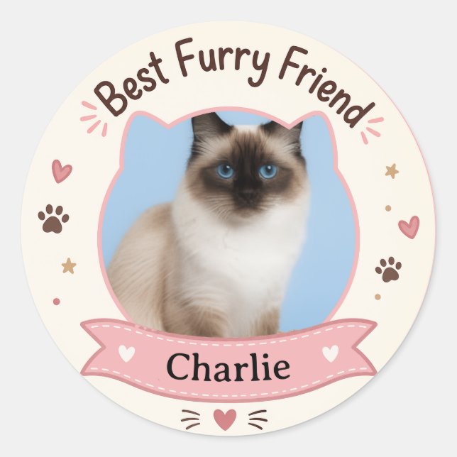 Customisable Cat Photo And Name Sticker (Front)