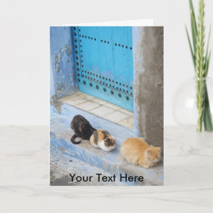 Customisable cats, Chefchaouen, Morocco Card