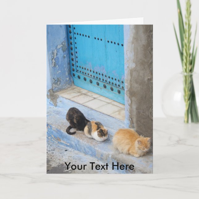 Customisable cats, Chefchaouen, Morocco Card (Front)