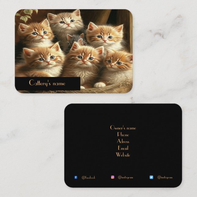 Customisable Cattery Business Card (Front/Back)