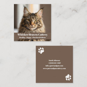 Customisable Cattery Business Card with Cat Photo 