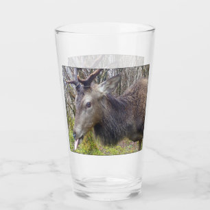 Customisable Cheeky Funny Stag Sticking Tongue Out Glass