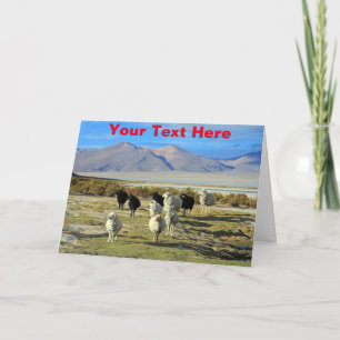 Customisable Chilean sheep Card