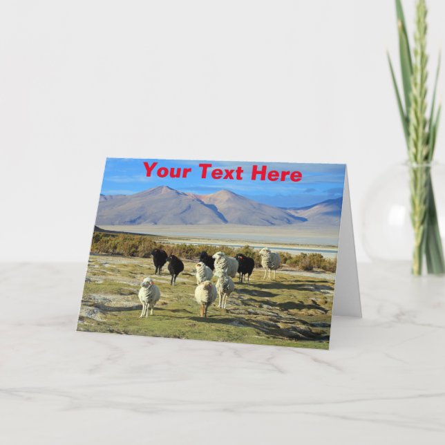 Customisable Chilean sheep Card (Front)