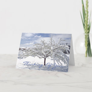 customisable Christmas card/Thinking of You/snow-c Holiday Card