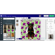 Customisable Christmas Pet Pop-out