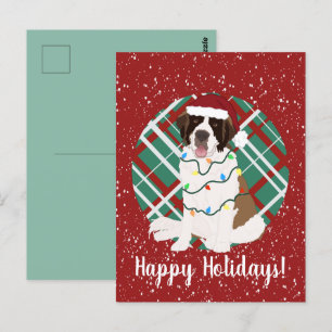 Customisable Christmas Saint Bernard Postcard