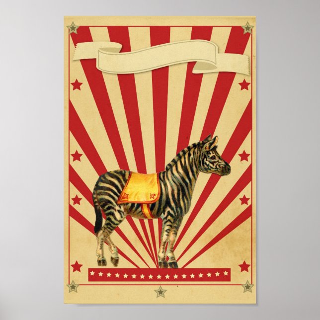 Customisable Circus Poster (Front)