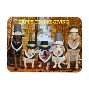 Customisable Cute/Funny Dogs Thanksgiving Magnet