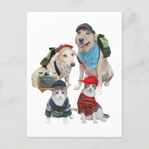 Customisable Cute Pets Postcard