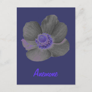 Customisable Dark Dreams Anemone Flower Postcard