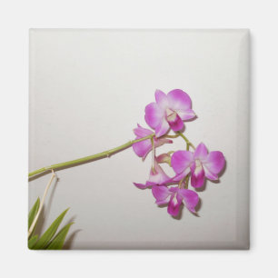 Customisable Decorative Orchid  Magnet